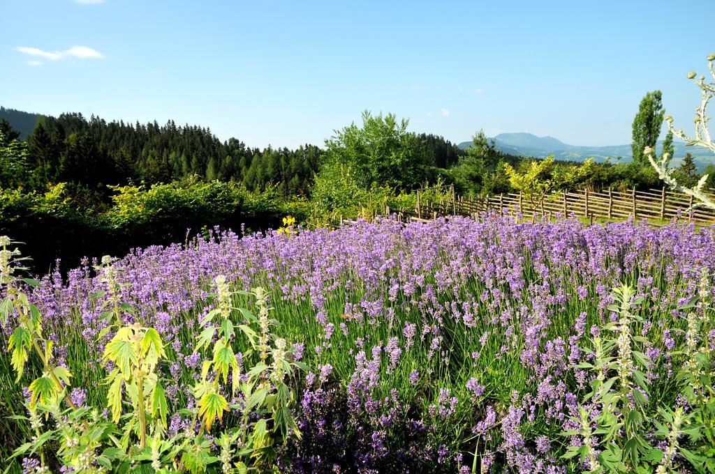 Sulamith Ferienhaus Mit Garten Sankt Kathrein am Offenegg Camera foto