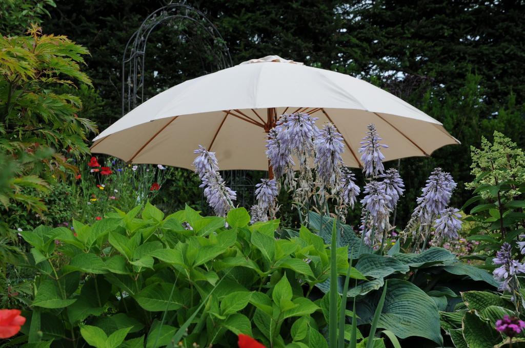 Sulamith Ferienhaus Mit Garten Sankt Kathrein am Offenegg Esterno foto
