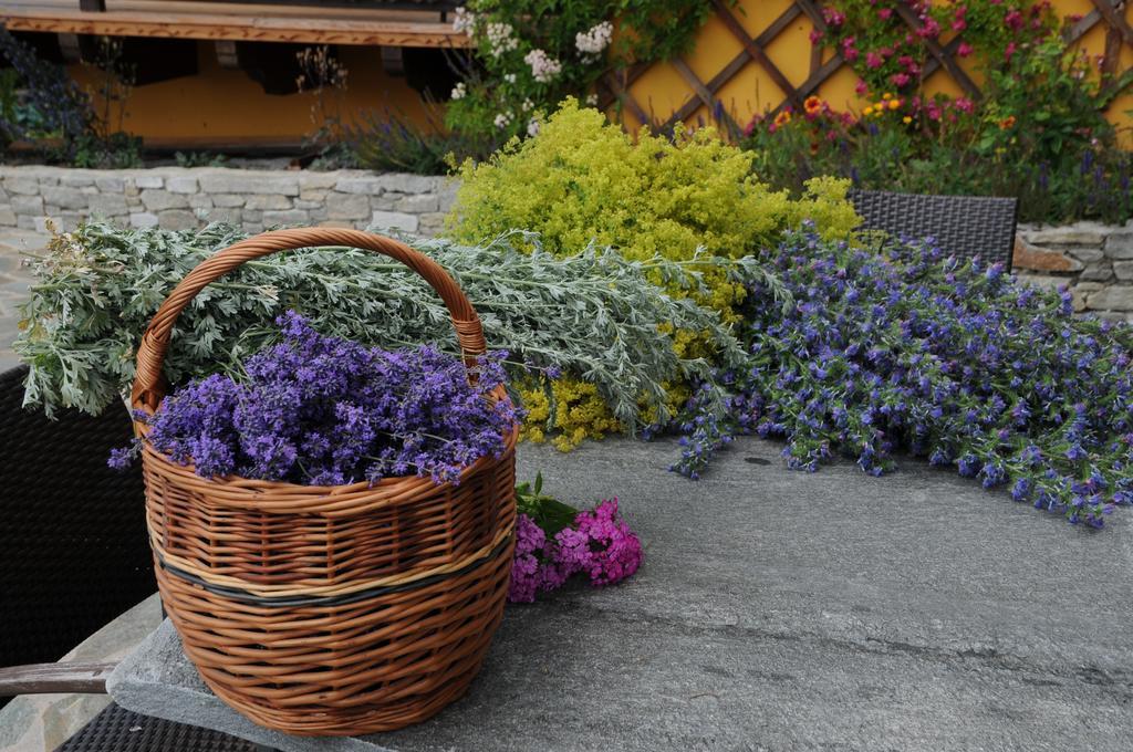 Sulamith Ferienhaus Mit Garten Sankt Kathrein am Offenegg Esterno foto