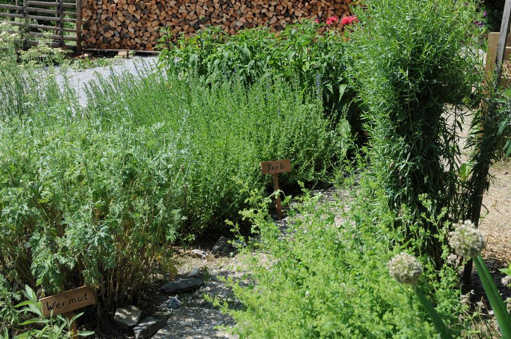 Sulamith Ferienhaus Mit Garten Sankt Kathrein am Offenegg Esterno foto