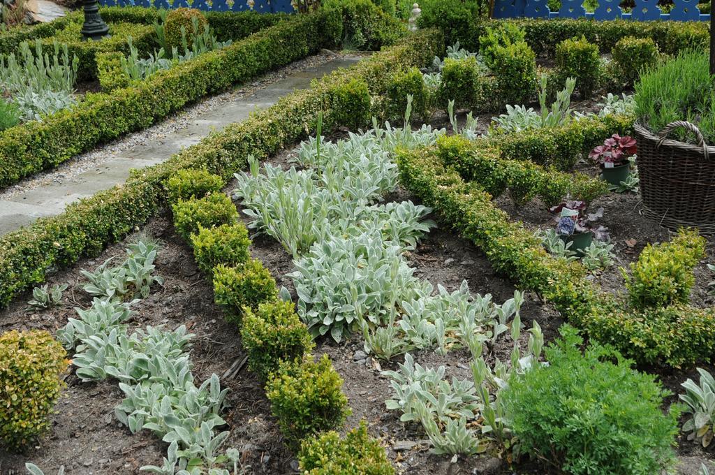 Sulamith Ferienhaus Mit Garten Sankt Kathrein am Offenegg Esterno foto