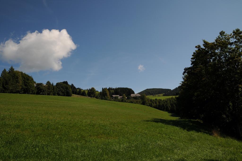 Sulamith Ferienhaus Mit Garten Sankt Kathrein am Offenegg Esterno foto